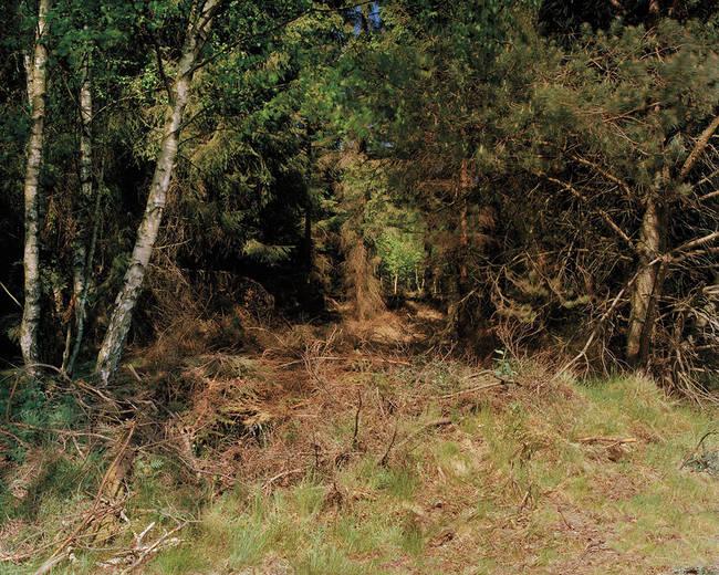 Snipers-Hiding-EMGN2